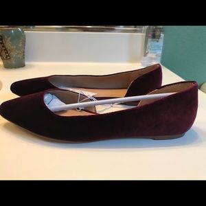 Pointed toe burgundy velvet flats